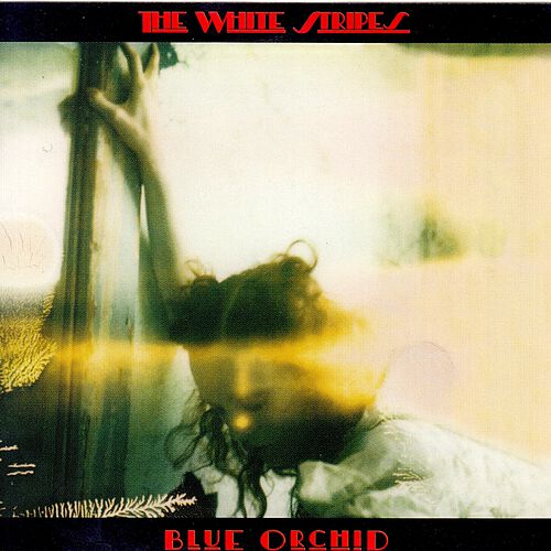 Blue Orchid by The White Stripes