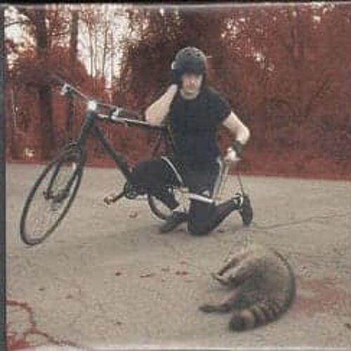 The Denial Twist by The White Stripes